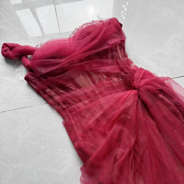 Elyssa Rare Beauty Bustier Tulle Bodycon Dress
