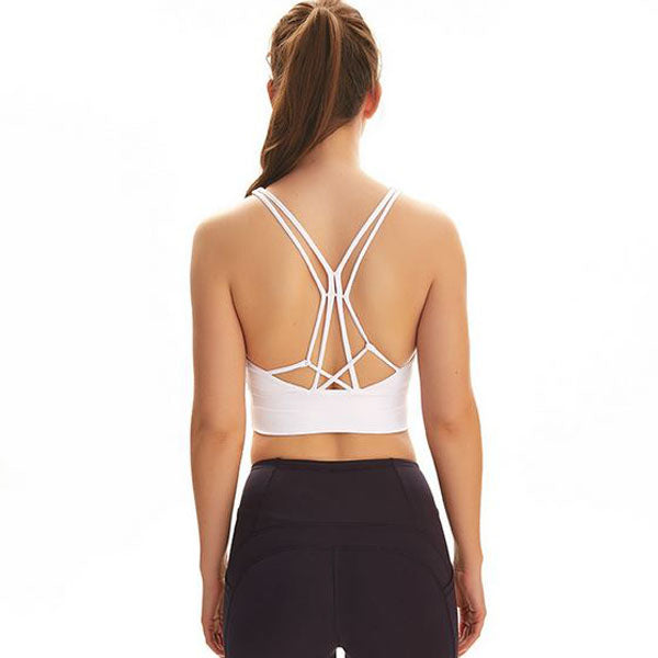 Dani Flow Sports Bra