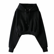 Anabelle Cropped Hoodie Sweater Top
