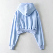 Anabelle Cropped Hoodie Sweater Top